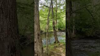 Hidden Picnic Spot: Urban Park's Creekside Gem and Scenic Stroll #moncton  #newbrunswick #parks