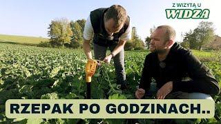 Rzepak uprawia "po godzinach".. Z wizytą u widza kanału e-pole | Paweł Kubacka