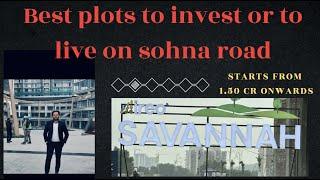 Best plots to invest or to live on Sohna Road IREO SAVANNAH