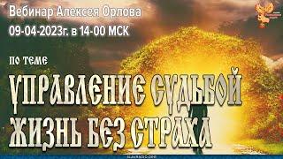 Ответы на вопросы по темам "Управление Судьбой" и "Родовая нить. Жизнь без страха"