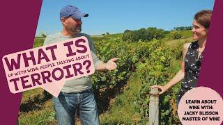 What is Terroir in Wine? Why does it Matter?