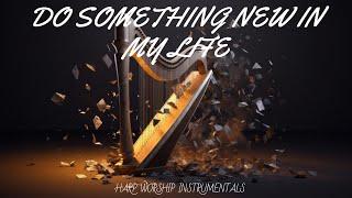 DO SOMETHING NEW IN MY LIFE / PROPHETIC HARP WARFARE INSTRUMENTAL / DAVID HARP MUSIC / HARP WORSHIP