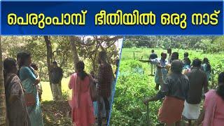 പെരുംപാമ്പ്  ആക്രമണം ഭയന്ന് ആനാട് നിവാസികൾ | Zee Malayalam News