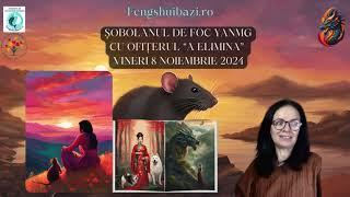 VUNERI 8 NOIEMBRIE 2024