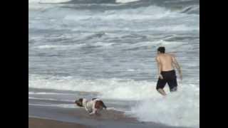 tumash running on the beach with emi