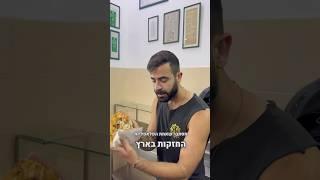 הפלאפלייה מהאהובות בארץ שמחזיקה בשניצל מטורף!! תכירו את פלאפל תדמור #פלאפל #שניצל #מיוחד #תלאביב