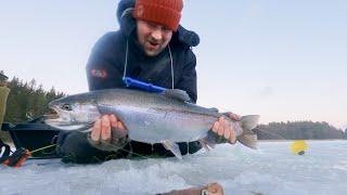 3,5 kg rainbow trout in Baltic Sea with small ice fishing lure