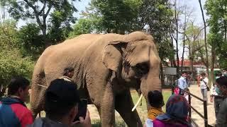 Central zoo in Kathmandu nepal #sachin thing family