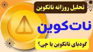 تحلیل نات کوین | فرار از ناتکوین یا موقعیت خرید؟ | با نات کوین هایمان چه کنیم؟