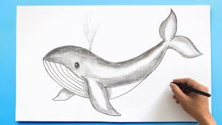 Spouting Whale Drawing 