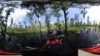 Swamp Tour 360 Video by Kayak - New Orleans