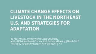 Climate Change Effects on Livestock in the Northeast U.S. and Strategies for Adaptation