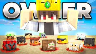 How I Became the OWNER of this Minecraft SMP!