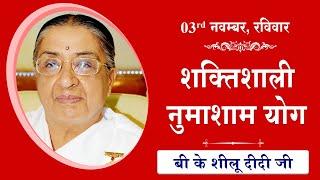 LIVE: नुमाशाम का योग | Evening Meditation  COMMENTARY के साथ | BK Sheilu Didi Ji | 03 Nov 2024