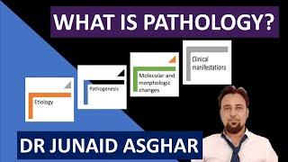 What is Pathology? || Junaid Asghar PhD