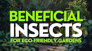 10 Beneficial Insects Every Eco-Friendly Gardener Should Know