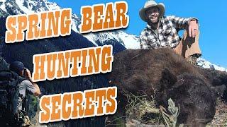 Spring Bear Hunting Tips - How to Stack Up Spot and Stalk Bears