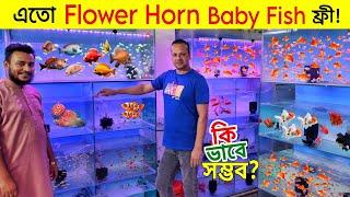 Aquarium Price In Bangladesh Aquarium Fish Price in bd 2024 Flower Horn Fish Gift