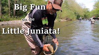 Little Juniata & The Perdigon Fly