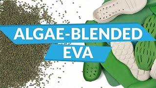 A Deep Dive into Sustainable EVA Foam Options - Algae Blended EVA | The BLOOM Room | Episode 4