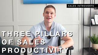 Three Pillars of Sales Productivity ALL Sales Reps Need