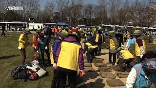 [VIDEOMUG] 얼음 벗고 잔디 입은 서울광장…'한 땀 한 땀' 봄맞이 새 단장 / SBS