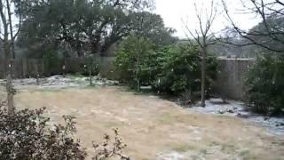 Snow in Brushy Creek, Austin, TX - 02-23-10