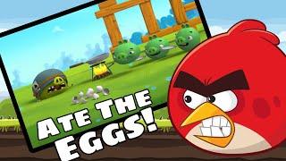 Angry Birds: The Pigs FINALLY Ate The Eggs!