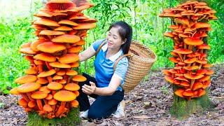 Harvesting Wood Ear & Goes To Market Sell | Gardening And Cooking | Lý Tiểu Vân