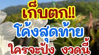 เก็บตก!! โค้งสุดท้าย ใครจะปัง งวดนี้ 1 พ.ย. 67 [EP.11]