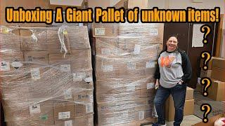 Unboxing a Giant Pallet of Unknow Items -  How much Money will we make??