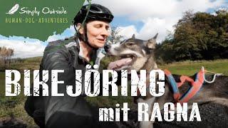 Simply Outside - Bikejöring mit Alaskan Husky Ragna