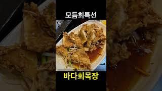 모듬회특선 / 바다회목장 오산 / 가성비대박 별5⭐️