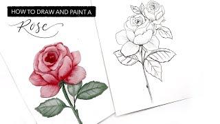 Watercolour Rose: JUNE'S Birth Month Flower