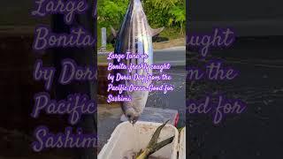 omega-3 fatty acids in tuna fish may help to reduce the level of omega-6 fatty acids.