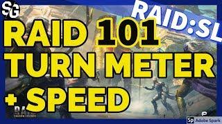 [RAID SHADOW LEGENDS] TURN METER & SPEED VIDEO OF A P. VIDEO