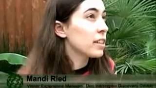 NISE Net Vignettes: Mandi Ried-NanoDays Community Experience