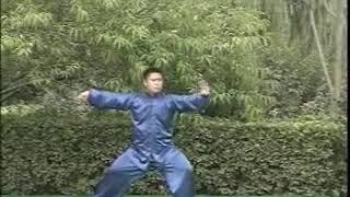 陳式太極牶, 散手與擒拿: 陳二虎 - Chen Style Taiji Chin Na Chen Erhu (Part1)