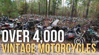 Epic Salvage Yard Adventure at Escambia Motorcycles - Vintage Bike Heaven! #vintagemotorcycles