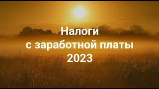 НДФЛ и страховые взносы 2023 + Удобная статья-справочник + Бесплатный ПРАКТИКУМ на Stepik!