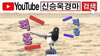 (2월 2주차) 스탠바이