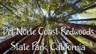 Del Norte Coast Redwoods State Park, California