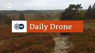 #DailyDrone: Lüneburg Heath, Büsenbachtal