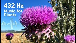 432 Hz Music for Plants to Stimulate Growth and Healing Vibes