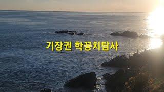 기장권 갯바위학꽁치탐사&칠암방파제 숭어낚시