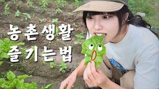 Self-sufficient Korean farmer