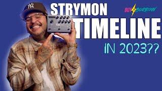 Should you buy a STRYMON TIMELINE in 2023?!?! (BuyOrBorrow Music)