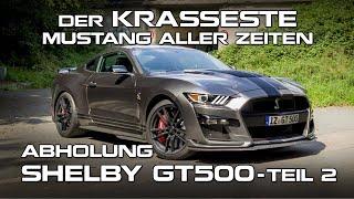 Der KRASSESTE Mustang aller Zeiten - Abholung Shelby GT500 Teil 2