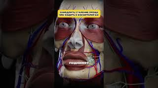 Замедлить старение проще чем ходить к косметологам