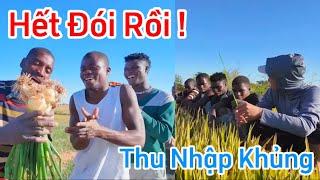 Công Giáp || Liệu Có Vội Vàng ? Quyết Định Kỹ Chưa Các Anh ! Màu Bội Thu Khủng Đến Với Người Dân Bản